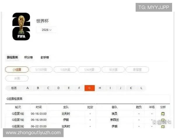 世界杯比利时对阵埃及后防线详细分析与战术布局解析